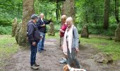 Tour Wandern Sint-Genesius-Rode - Soignes0720 - Photo 1