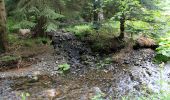 Randonnée A pied Stadtsteinach - Steinachklamm-Weg KU 52 - Photo 6