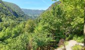 Tocht Stappen Villard-Saint-Sauveur - cascade de flumen - saut du chien - retour en partie par la route  - Photo 18