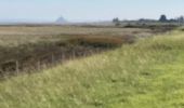 Randonnée Marche Le Vivier-sur-Mer - Circuit des grèves et marais - Photo 1