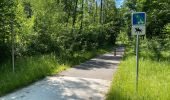 Trail Mountain bike Ormoy-le-Davien - Ormoy le Davien - Rouville en VTT - Photo 1
