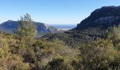 Excursión Senderismo Évenos - Le Mont CAUME - Photo 5