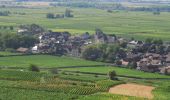 Tocht Mountainbike Meursault - VTT a meursault - Photo 5