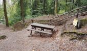 Randonnée Marche Lepuix - Giromagny - sentier des mines - 2 à visiter - Photo 10