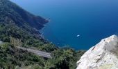 Percorso A piedi Riomaggiore - Sentiero Verde Azzurro: Telegrafo - Montenero - Riomaggiore - Photo 9