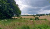 Trail Walking Herve - bolland . favechamps . la vaux . melen . bolland  - Photo 17