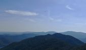 Trail Walking Collobrières - les hauts de la Verne - Photo 1