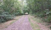 Randonnée Marche Verrières - DOLMEN ET CASCADE DE SAILLANT DEPUIS VERRIERES - Photo 11