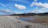 Percorso Marcia Cayeux-sur-Mer - lac de caouaisse . brighton . pointe de hourdel . lac de caouzisse   - Photo 10