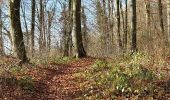 Trail Walking Martagny - Martagny, forêt domaniale de Lyons et le monument de la Rougemare - Photo 2