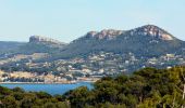 Randonnée Marche Cassis - Les 3 Calanques coté Est - Port Miou - En Vau - Port Pin (2eme version) - Photo 10