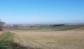 Randonnée Marche Barbonne-Fayel - dans le vignoble Champenois autour de BARBONNE-FAYEL - Photo 9