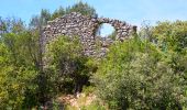 Percorso Marcia Roquefort-la-Bédoule - Sommet du Douard - Gorges de la Petite Ste Baume - Chapelle St André - Ruines vieux Roquefort - Chateau Roquefort  - Photo 18