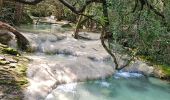 Trail Walking Nans-les-Pins - De Nans les pins vers les sources de l'Huveaune - Photo 8