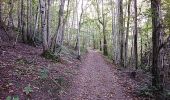 Tour Wandern Quincié-en-Beaujolais - Quincie en Beaujolais 69430 - Photo 2