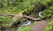 Trail Walking Gemeinde Längenfeld - Gries Amberger hutte 11 km - Photo 11