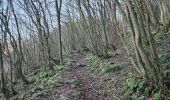 Randonnée Marche Comblain-au-Pont - A la découverte de Comblain-au-Pont 🥾 - Photo 16