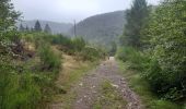 Tocht Stappen Malmedy - xhoffraix . cheneux . moulin et cascade bayehon . vieux chêne . longfaye . xhoffraix - Photo 10