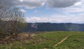 Tour Wandern Bellecombe - crêt chalam borne au lion - Photo 12