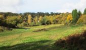 Tour Zu Fuß Wyre Forest - Habberley Valley Circular Walk - Photo 2