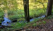 Trail Walking Vieux-Moulin - Circuit autour de Vieux Moulin en passant par la 