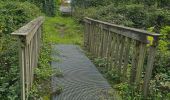 Tour Wandern Bueil-en-Touraine - Bueil-en-Touraine - Autour de la vallée du Long - Photo 10