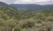 Randonnée Marche Signes - Vallon du Raby  - Photo 1