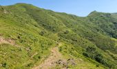 Trail Walking Laveissière - Le Lioran Puy Mary - Photo 10