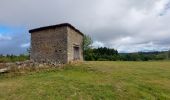 Trail Walking La Chaise-Dieu - Bois de Breuil - Photo 2