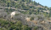 Tour Zu Fuß Regionalverwaltung Mateh Jehuda - הר פיתולים - Photo 1