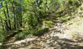 Tour Wandern Saou - La Grande Combe en Forêt de Saoû - Photo 10