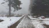 Randonnée Marche Malmedy - Cascade de Bayehon  - Photo 3