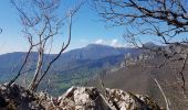 Randonnée Marche Le Sappey-en-Chartreuse - Le Rochet du Bret - Photo 8