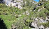 Randonnée A pied Gordes - les gorges de la Véroncle - Photo 10