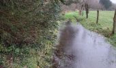 Trail Walking Cormeilles - cormeilles - Photo 9
