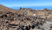 Tour Wandern La Orotava - Montana Blanca Refuge Altavista Forteleza La Rambletta Teide 3718 m - Photo 14