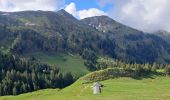 Percorso Marcia Bernex - DENT D'OCHE ET LAC D'ARBON - Photo 5