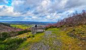 Tour Wandern Vielsalm - Balade à Salmchateau - Photo 9