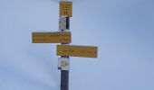 Trail Snowshoes Beaufort - Areches - Plan Villard - Photo 6
