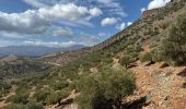 Excursión Senderismo Κοινότητα Ἁγίου Νικολάου - Le sommet d’Oxa à partir d’Agios Nikolaos - Photo 15