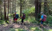 Tour Wandern Gorbio - Gorbio Ste-Agnès - Cime de Baudon - Photo 12