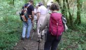 Trail Walking Gramat - alzou gorges - Photo 13