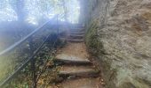 Tour Wandern Bertrix - rando  auby sur semois 2-09-2022 - Photo 13