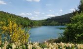 Trail Walking Stavelot - Coo Tour lac - Photo 6