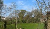 Randonnée Marche Braine-le-Château - #230421 - Braine-le-Château > Bois d'Apecheau et d'Oisquerq, dont 4 km du GR 127**** - Photo 15