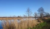 Tocht Te voet Wijdemeren - Ankeveense Plassen - Photo 1
