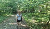 Trail Walking Spa - GrWandArdRiv 12: Spa de Barisart en Geronstère bronnen (PVDB) - Photo 11