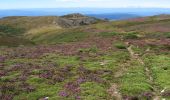 Excursión A pie Galende - Ruta a Peña Trevinca (desde la Laguna de los Peces, Sanabria) - Photo 6