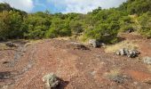 Excursión Marcha nórdica Mérifons - Mérifons - Carlencas AR - Photo 16