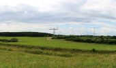 Tocht Te voet Mirow - Müritz-Nationalparkweg - Photo 1